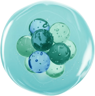 A cluster of translucent blue and green spheres grouped together inside a larger clear sphere, resembling a simplified illustration of cells or molecules.